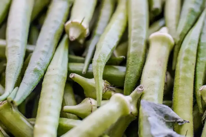 Garantia-Safra: veja lista dos que receberão pagamento em abril