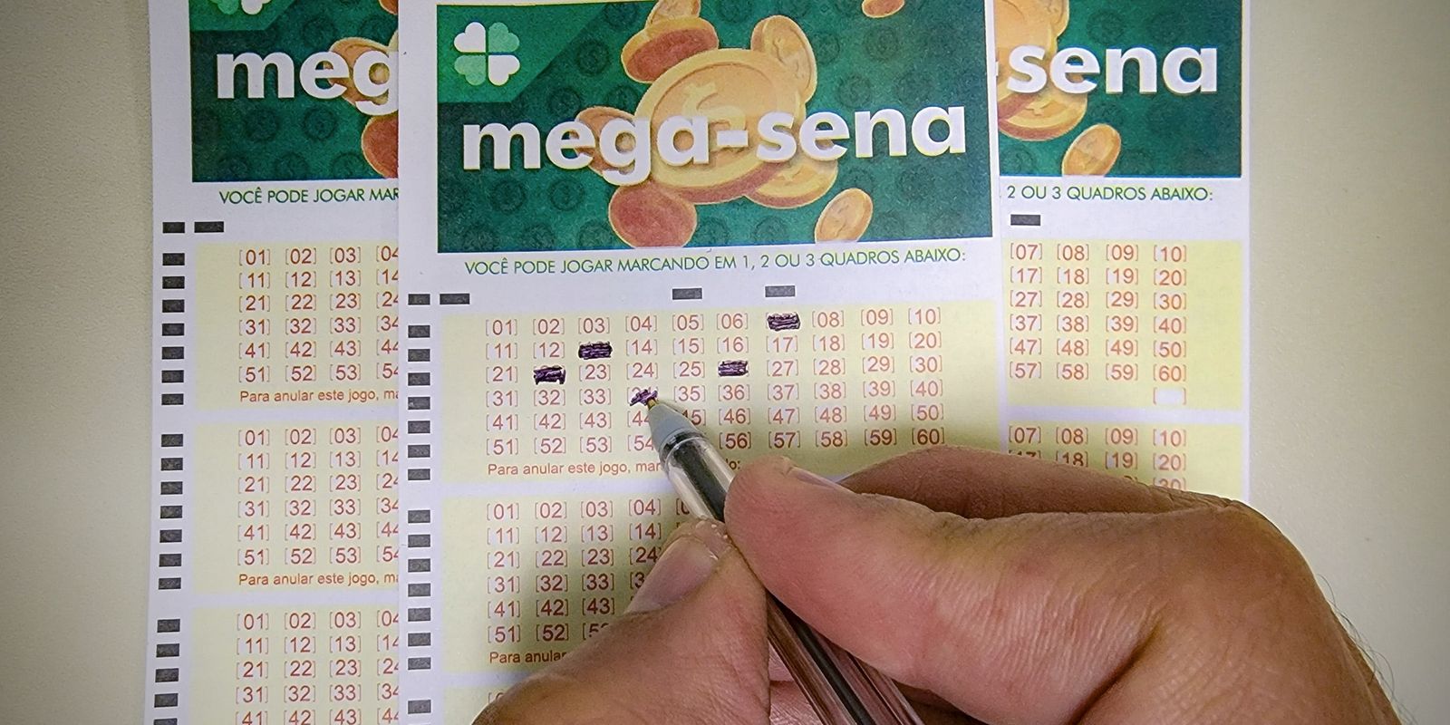 Mega-Sena acumula e próximo prêmio está estimado em R$ 100 milhões